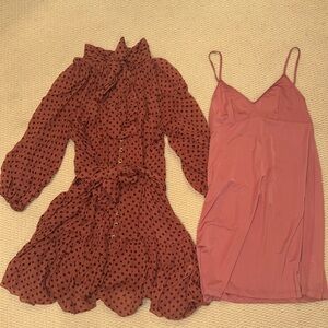 ZIMMERMANN Polka Dot Dress in Rosewood Dot